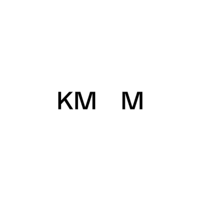 Kaunas City Museum logo